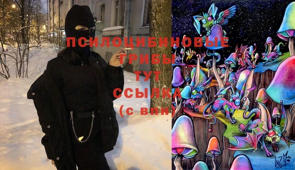 соль курить ск Надым